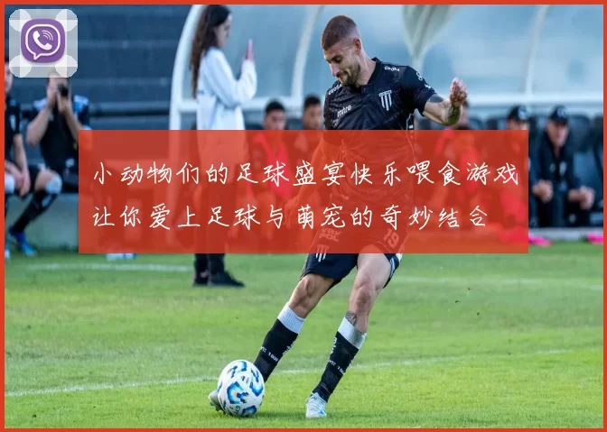 小动物们的足球盛宴快乐喂食游戏让你爱上足球与萌宠的奇妙结合