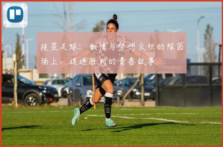 桂星足球：激情与梦想交织的绿茵场上，追逐胜利的青春故事